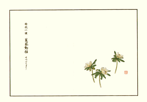 Setsubun-so by Shoseki Kose (1843-1919), included in Shichijuni Ko Meika Gajo (Illustrations of