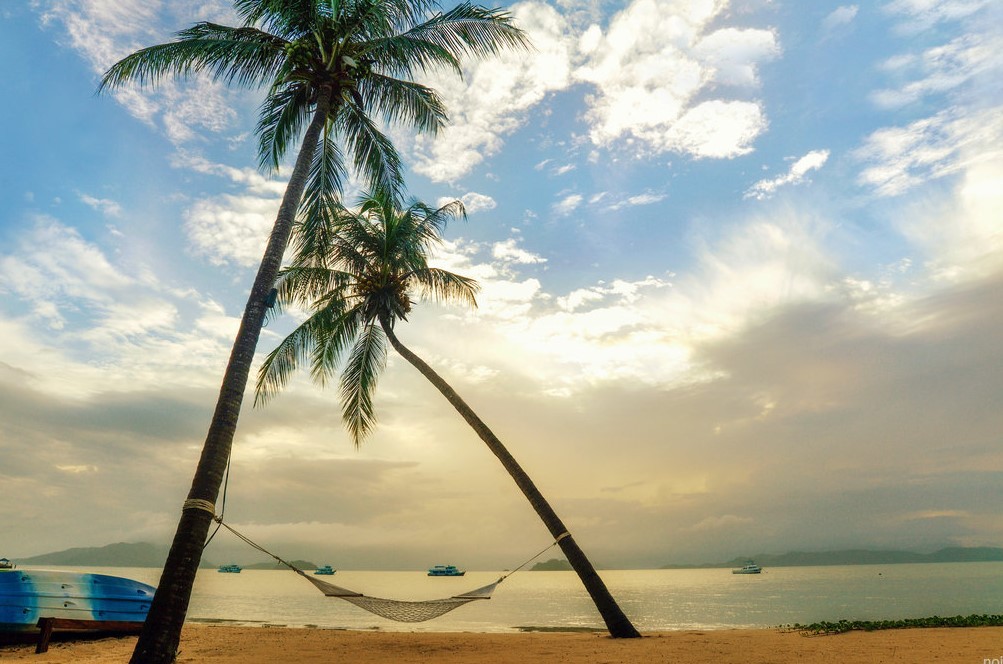 siyahalbatros:    Sapanpla Road Koh Phayam (Ranong) , Thailand.