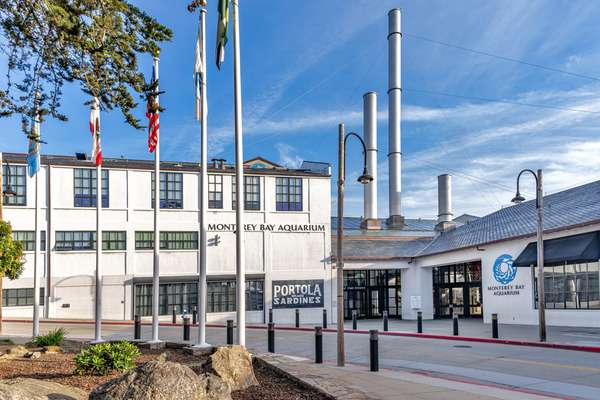 The Main Entrance of the Monterey Bay Aquarium with a view of the smoke stacks, the five flag poles, and the Monterey Bay Aquarium logo on the Aquarium wall.