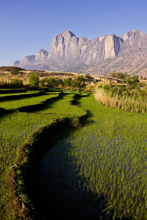 3leapfrogs:roatanroy:Madagascar a beautiful contrast by  Jean-Baptiste Valiente •=• •=• •=•Come leap