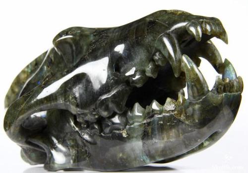 thegreenwolf: elegantwolves: Labradorite Wolf Skull GRABBIEST GRABBY HANDS EVER No, seriously, labra