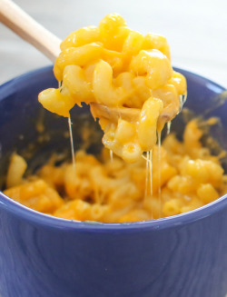 verticalfood:Macaroni and Cheese in a Mugomnomnom