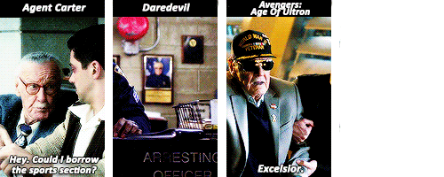 Sex dailyxmarvel:  Stan Lee’s Marvel cameos pictures