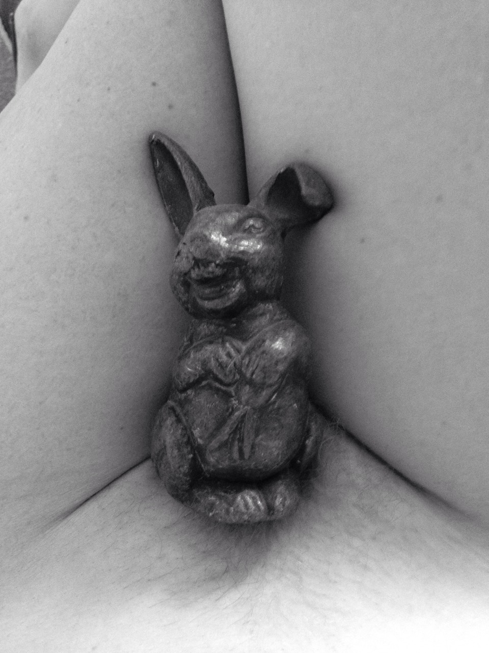 seriouslysensuous:  the-naked-me:  little rabbit the-naked-me  Messaggio carino pubblico!