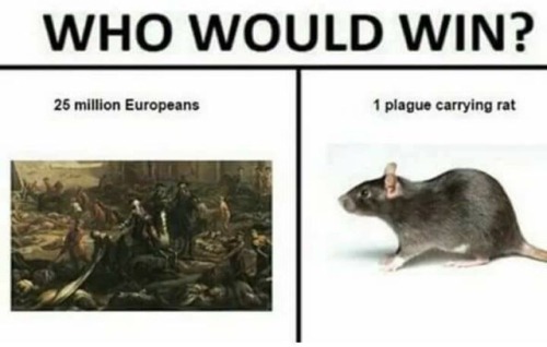 browsedankmemes:14 Century Showdown