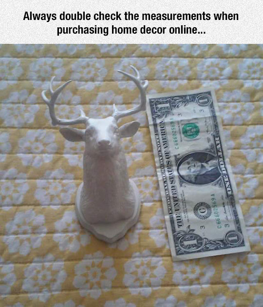 srsfunny:  Double Check The Measurementshttp://srsfunny.tumblr.com/