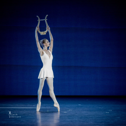 Tags Roberto Bolle Tee Jerseys Clothing Shirt Hoodies Custom Listhearts Com