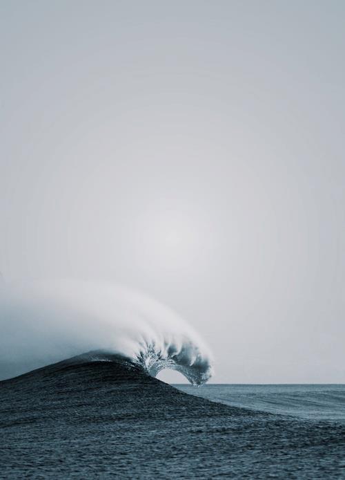 theelegantlyfe:  Photo http://ift.tt/1wFlsYu