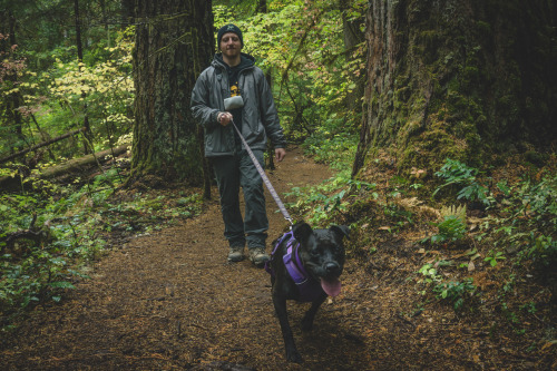 Marceline enjoys hikes, but she hates camping :b