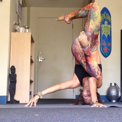 givemethecookiejar:  little-yogi:  I read an article the other day called “I don’t do yoga and it’s all because of you.” The article was directed towards the instagram yogis and yoginis and their “yoga selfies.” The author was very angry and