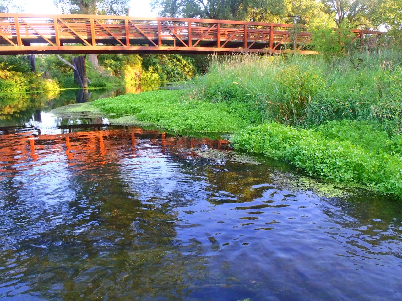 A Fly Fishing Woman