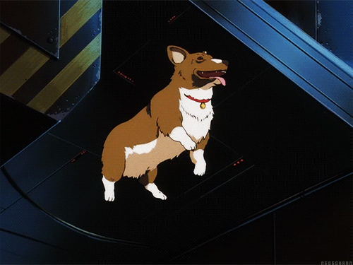 babylonian:  why his tongue hanging down if theres no gravity. anime is stupid