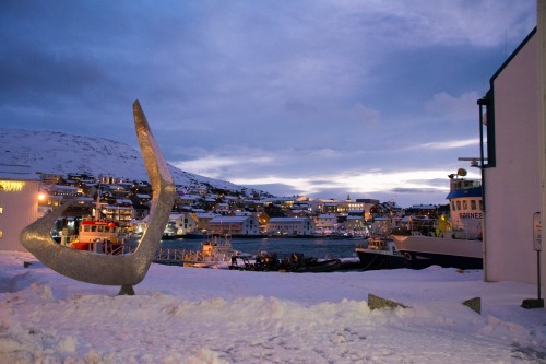 Honningsvag harbour, Norway
