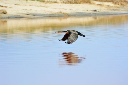 Located In The Famous Skeleton Coast Concession Between The Hoarusib And Hoanib Rivers In The Skeleton