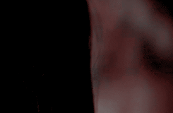 misskathgifs:— VERGIL, AENEID VII.312