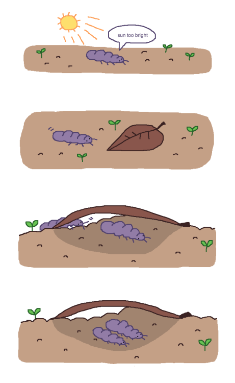 mossworm:springtail’s adventure