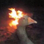 chattynbgoose