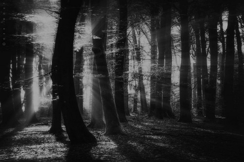 slobbering:  From the Slobbering Darkness