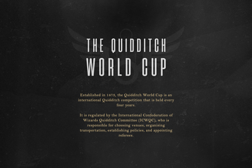 asheathes: Quidditch series: The Quidditch World Cup “A source of vehement disagreements, a securit