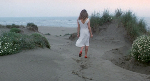 aloneandforsakenbyfateandbyman: Eva Robin’s in Tenebre (1982)  She was also a fashion mo