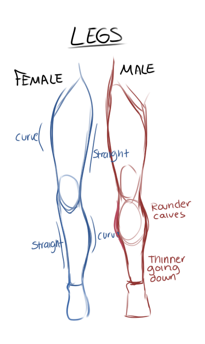 anatoref:  Drawing Legs  Row 1: Left, Right  Row 2Row 3Row 4 (Source Unknown)Row 5Row 6Row 7 