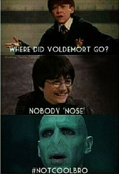 Harry-Potter-Meme-Voldemort-Nose-14 - St. Mary's B.N.S.