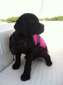 capecodliving:  ready for the boat! 