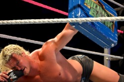 rwfan11:  Ziggler- showing what it costs …because you know &ldquo;everyone has a price&rdquo; - Ted DiBiase …….I guess you need an entire briefcase full of money to get one night with him! …LOL! …………….with my budget I think I could only