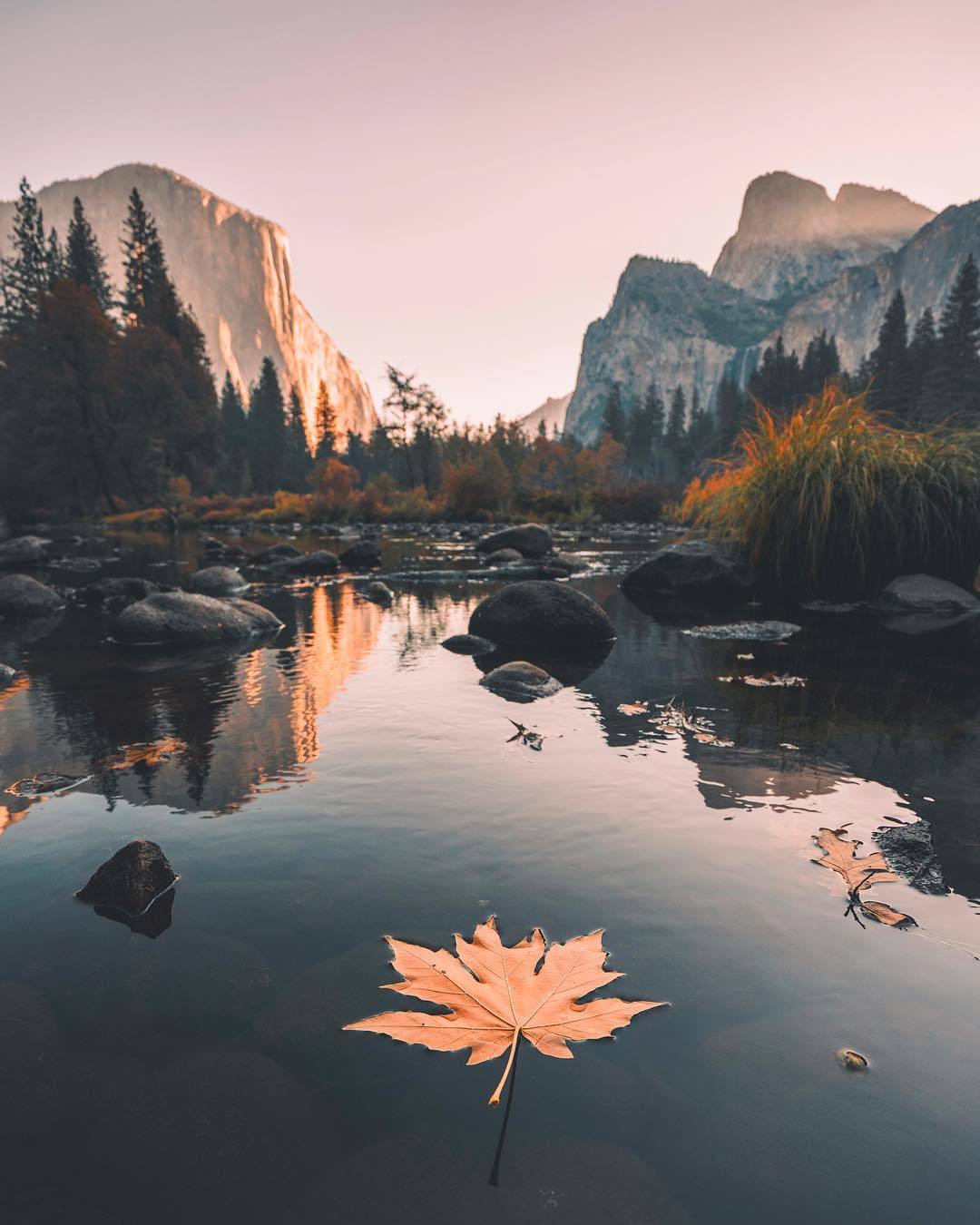 earthlygallery:  Yosemite Fall by Eric Rubens