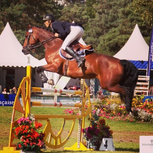 Another photo of the equestrian event outside of Paris #photooftheday #equestrian #events #fontaineb