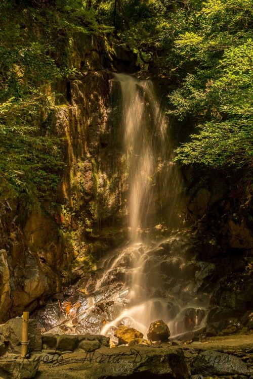 kyotodreamtrips:Momono-o Falls in Tenri City, Nara Prefecture-Japan.View of Momono-o Falls (桃尾の滝) al