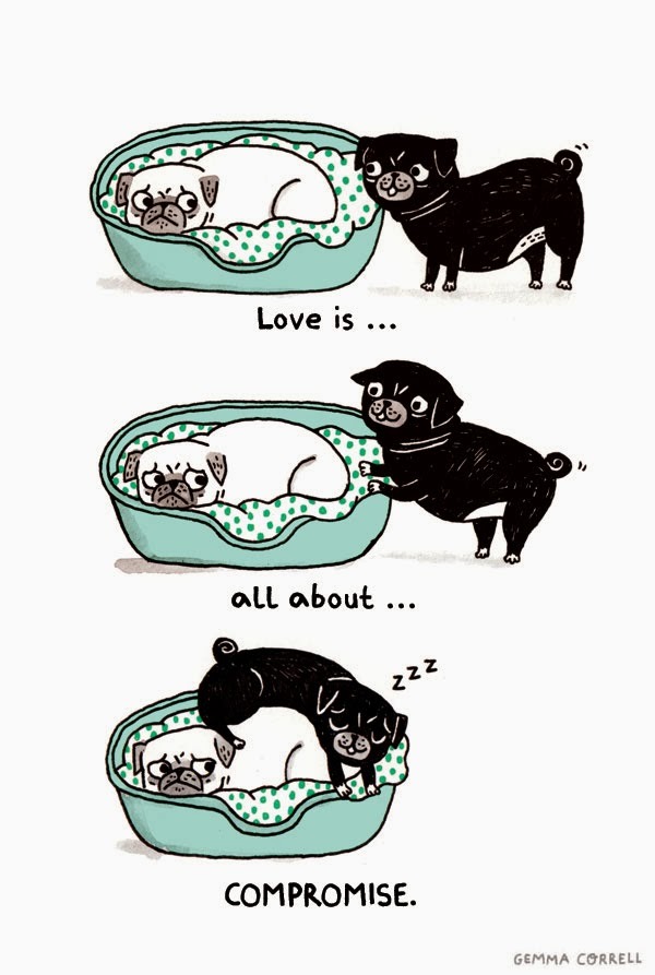 1000drawings:  by Gemma Correll 