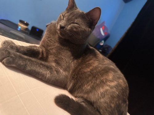 THEY GROW UP SO FAST