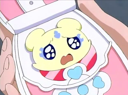 punk-mahoucore: Reblog to show your support for Mepple.  His girlfriend was just banned by tumblr fo