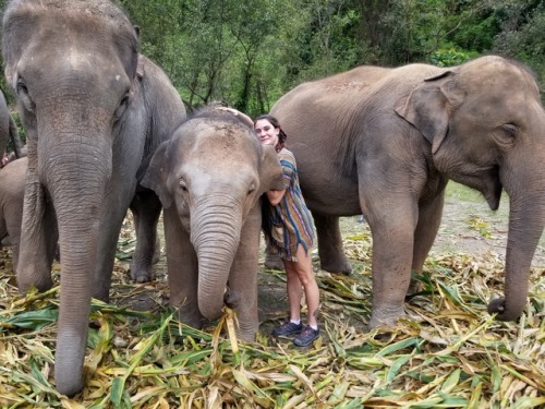 My heart was so full at the Elephant Jungle Sanctuary in Chiang Mai