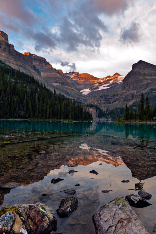 modern-warriors:  Photographer | Modern Warriors | Instagram