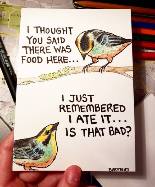 Bird no. 105. Roommates......#hangry #tanager #roommates #iateitall #oopsididitagain #watercolorpenc