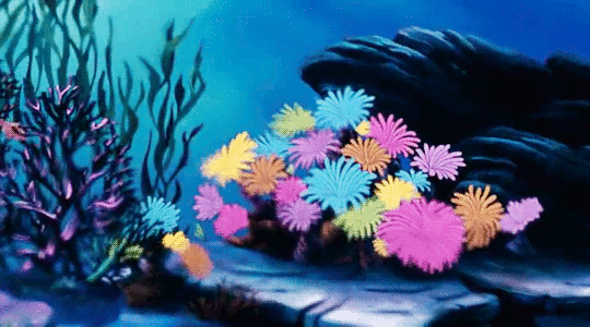 city-of-gay-angels:    I’ll tell you a tale of the bottomless blue. And it’s