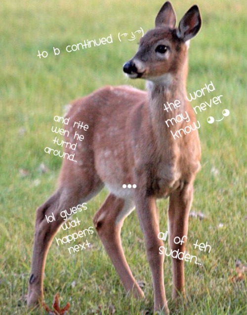 When You Write Suspendeer Instead Of Suspender