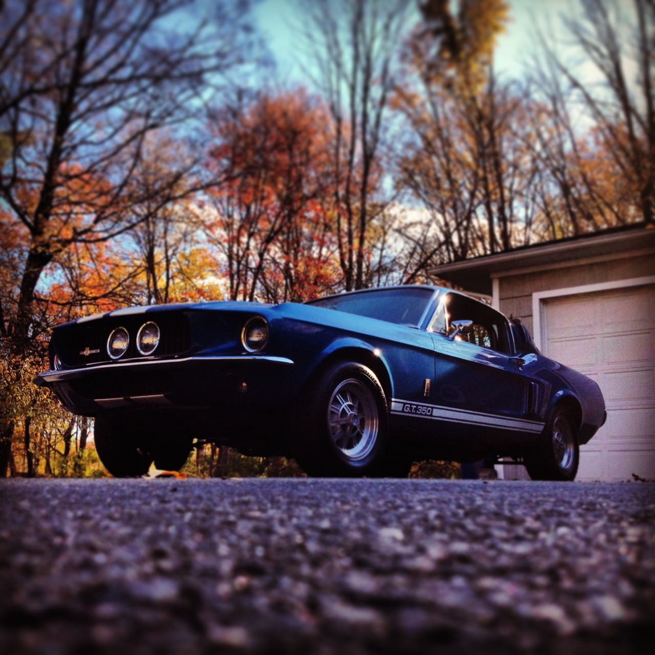 spiral70:  Mustang GT 350 