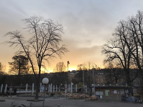 Stuttgart Schlossgarten, 4.3.2019