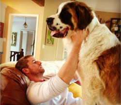 New Post has been published on http://bonafidepanda.com/20-dogs-dont-realize-dont-belong-lap-size-category/20 Dogs Who Don’t Realize They Don’t Belong to the Lap-Size Category Of course, we all love that feeling when our furry, canine friends would