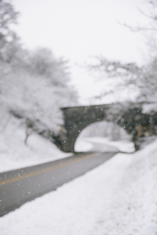 There’s snow in the South. by Tyler Phenes