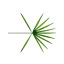 airiexo