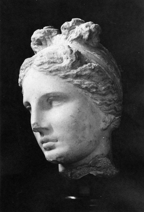 poisonwasthecure:Head of Aphrodite (The Bartlett Head) ca. 330–300 B.C.