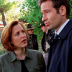 madamleoni:pen-paper-aliens:agentscullycarter:#puppieswhen your smol wife is calling you out on some