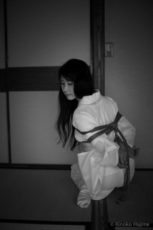 Model NaoShibari & Photo Kinoko Hajime