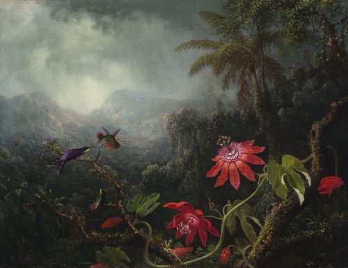 Martin Johnson Heade (1819-1904)Passionflowers with three hummingbirds