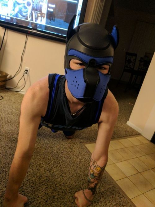 otter-pup-the-pup:  I earned my first piece out of five from sir! My singlet!  AROOOOOOOOO!!!  Such a cute pup!
