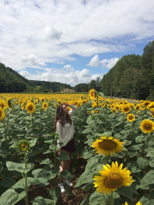 moonchjld:  lil sunflower kid in a big sunflower field ig: @annemar.ie